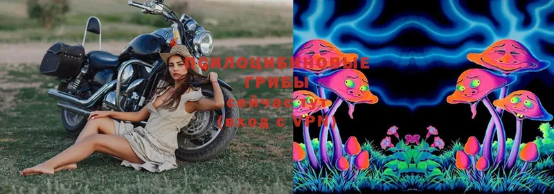 Галлюциногенные грибы Magic Shrooms  ссылка на мегу ССЫЛКА  Коммунар 